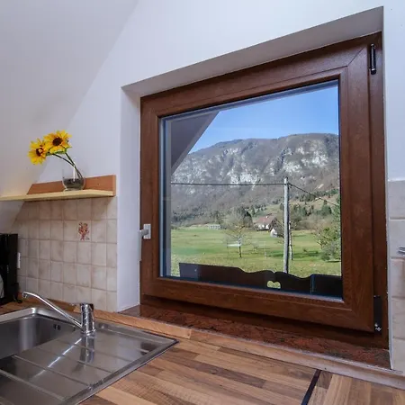 Apartment Jezero Bohinj